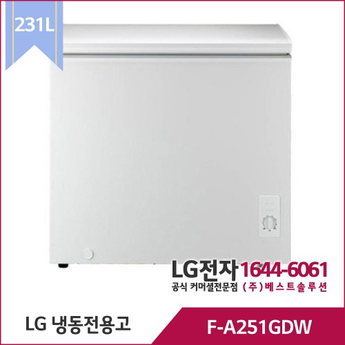 LG 냉동전용고 F-A251GDW